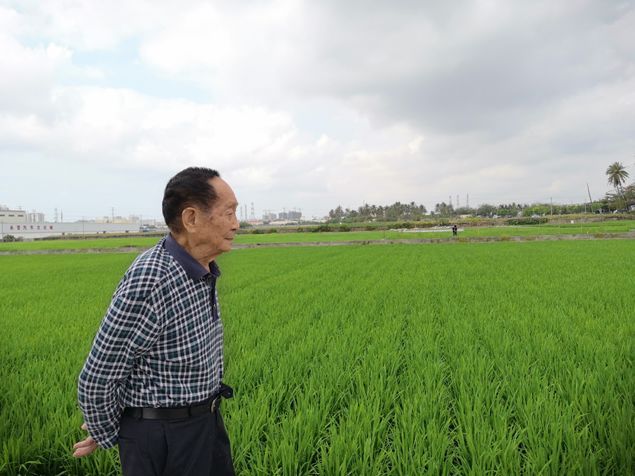 今天袁隆平院士90岁:依然管不住迈向稻田的腿