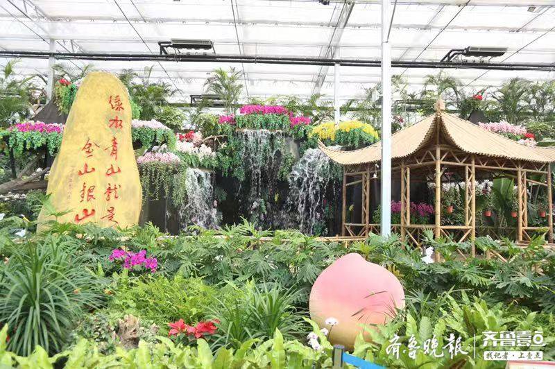 记者实地探访临沂兰陵县代村是怎样蜕变的