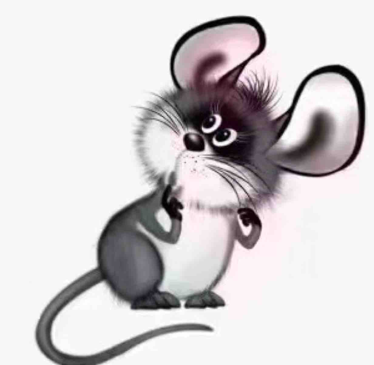 茜多西