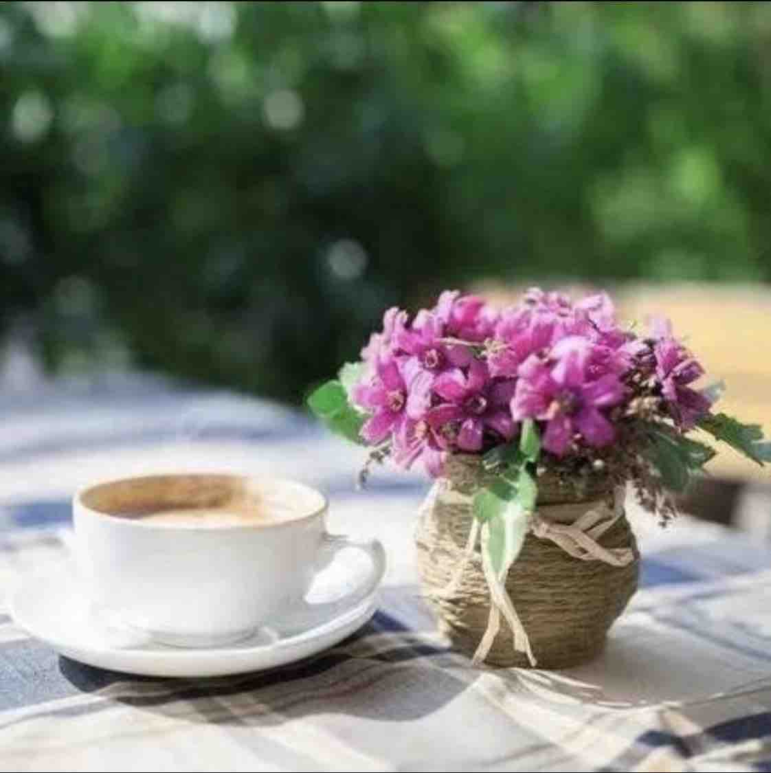 齐鲁志愿者紫檀