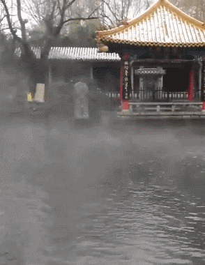 昨天,趵突泉池里 一条不知道憋了多久的池鱼兴奋地跳出水面