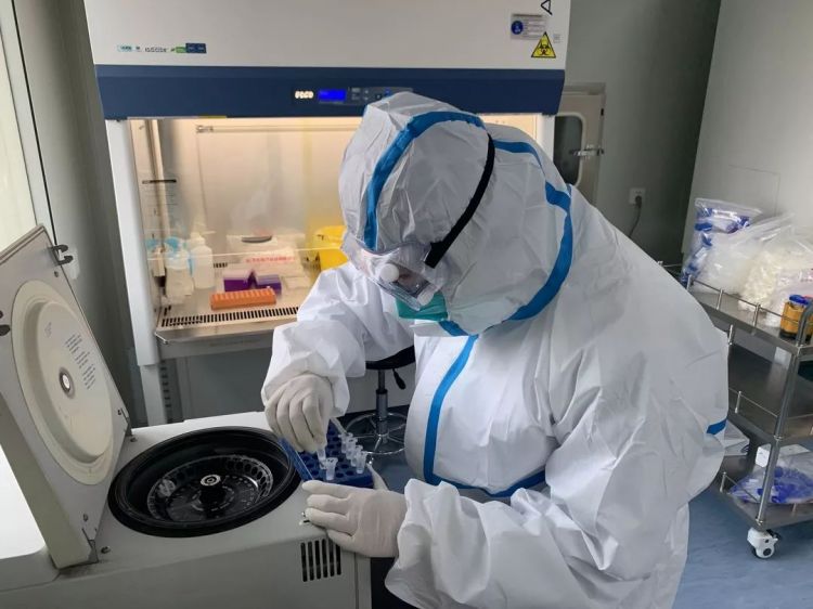 省胸科医院工作人员进行冠状病毒核酸检测.
