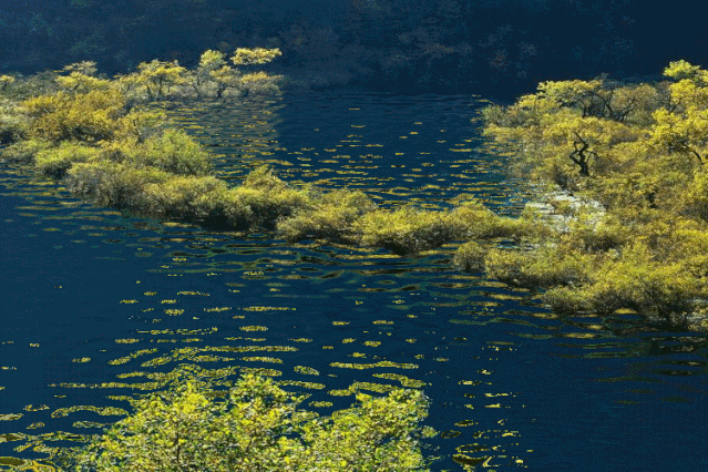 心中有风景,眼里无是非