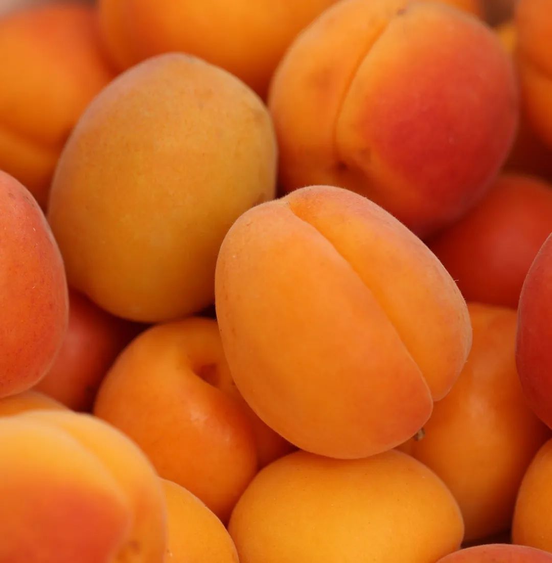 水果营养排行榜维c含量最高的水果竟然不是橙子而是