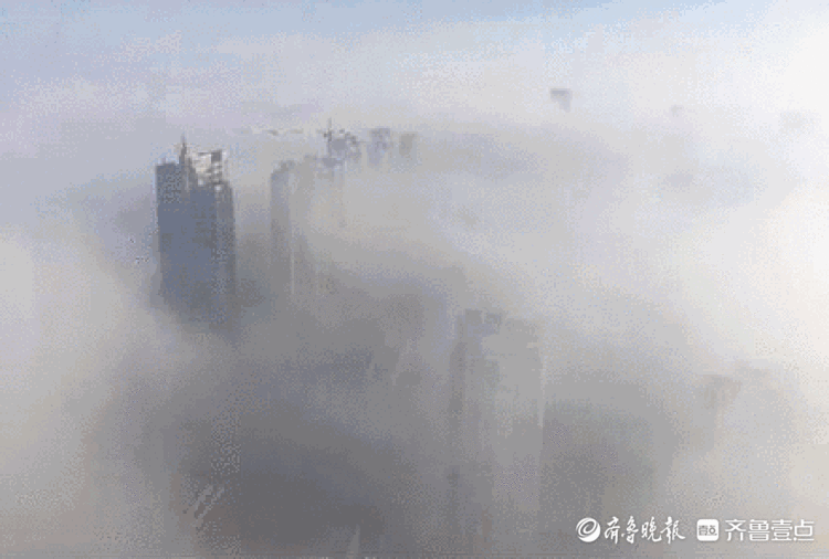 情报站|大雾锁城能见度低!山东多地壹粉今晨雾里看城