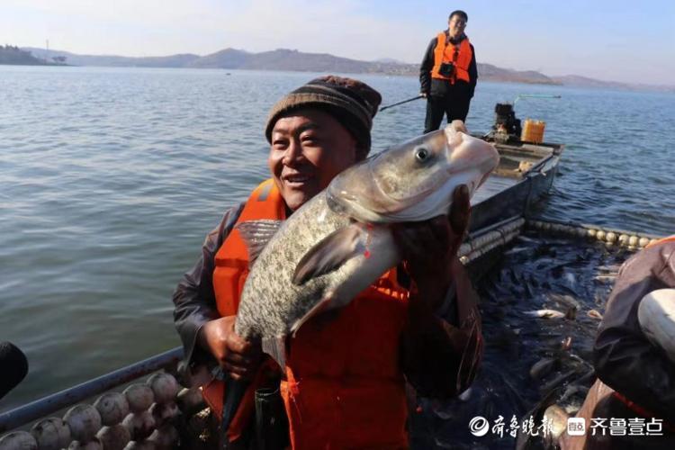 桃花鱼满仓日照水源地撒下冬捕第一网