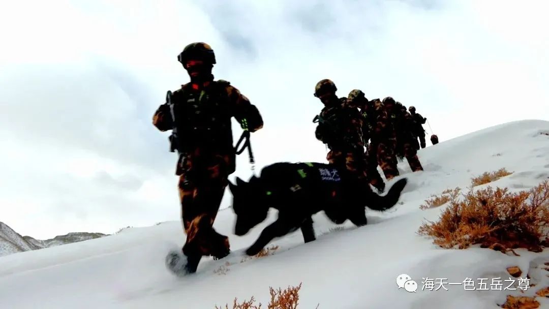 英雄血性,生命界碑:永远镌刻在喀喇昆仑的不朽军魂