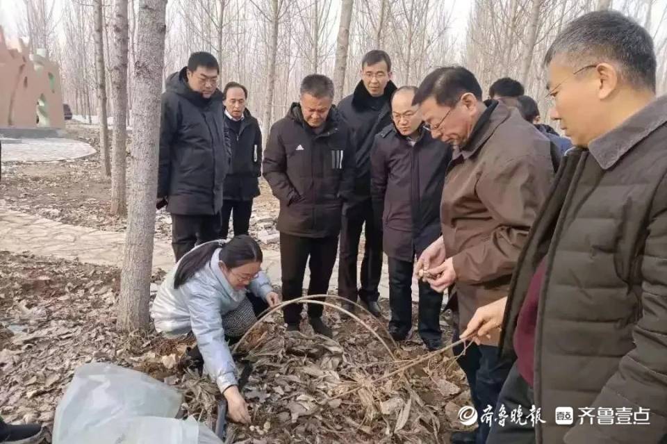 新泰市谷里镇开发两家四中心共筑片区新平台