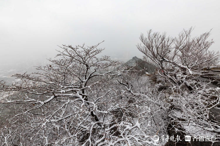 情报站|济南千佛山山顶雪景是怎样的?跟随壹粉的镜头来感受下吧