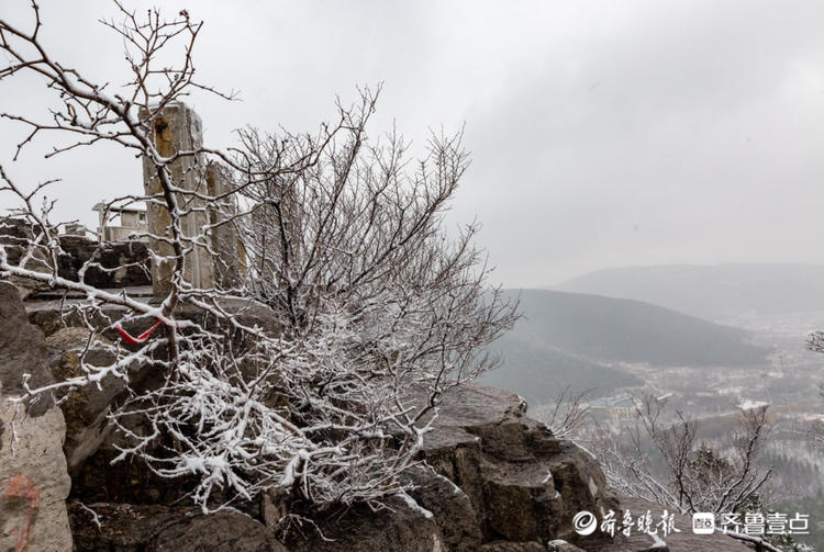 情报站|济南千佛山山顶雪景是怎样的?跟随壹粉的镜头来感受下吧