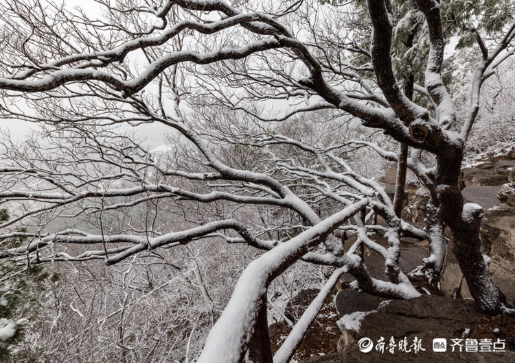 情报站|济南千佛山山顶雪景是怎样的?跟随壹粉的镜头来感受下吧