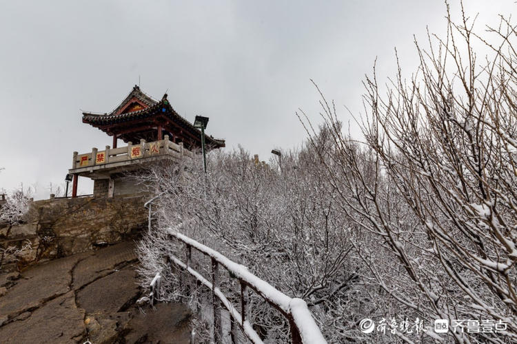 情报站|济南千佛山山顶雪景是怎样的?跟随壹粉的镜头来感受下吧