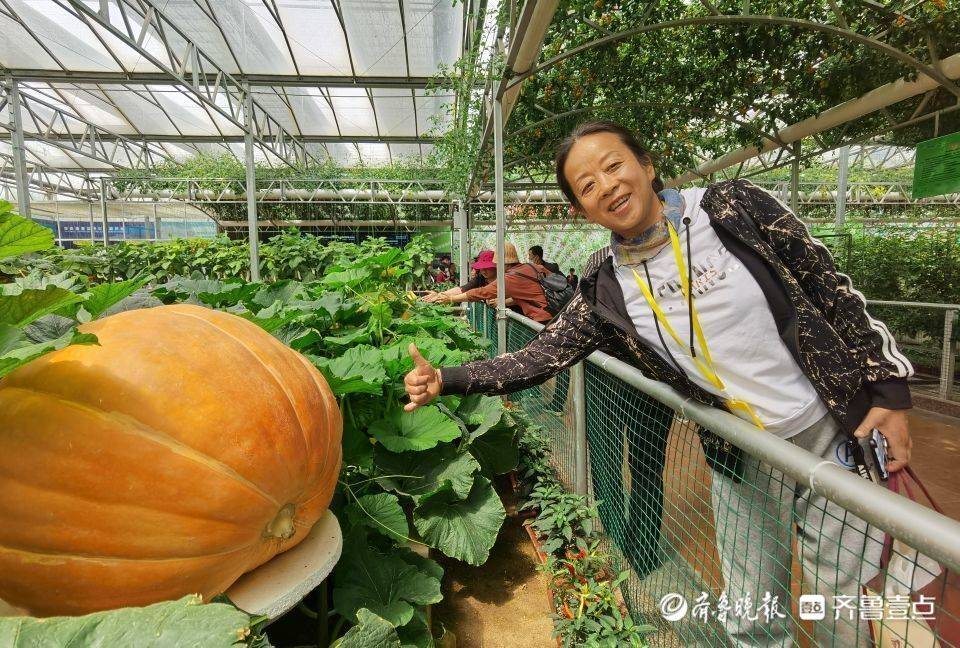 一直想到寿光看菜博会这次终于圆了梦