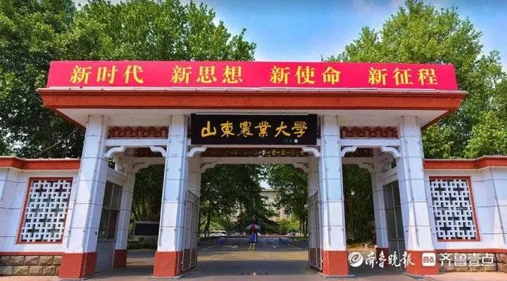4年148个揭秘山农大整宿舍考研上岸背后的人才培养密码