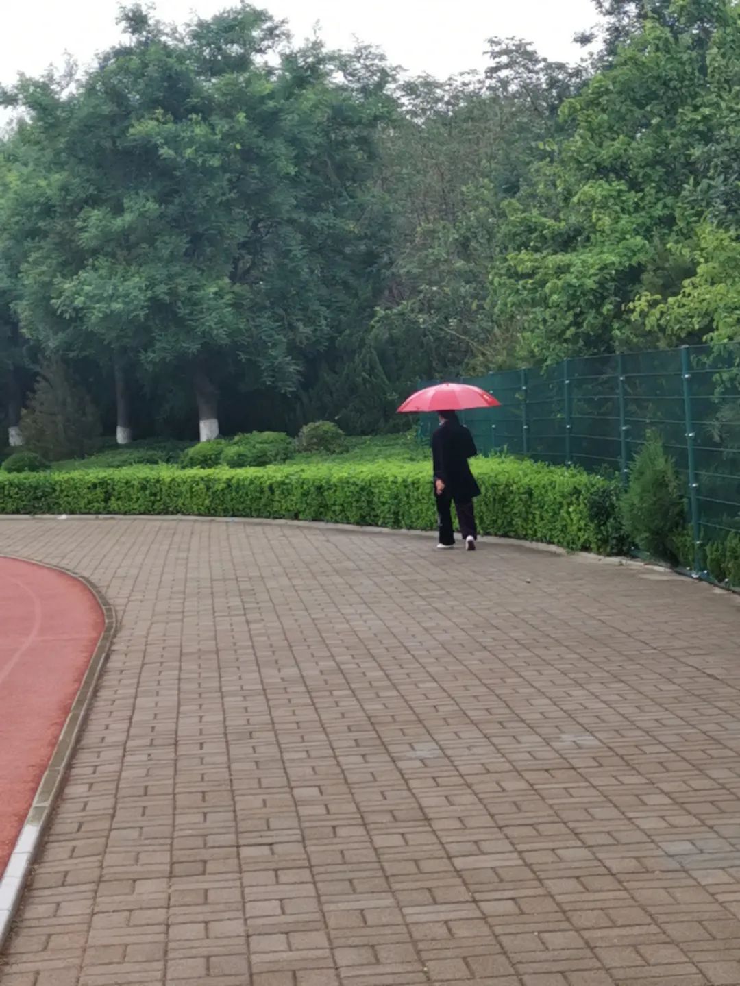 一路向前走向胜利方显你英雄本色风雨无阻我遇见你在雨中雨水淋湿了