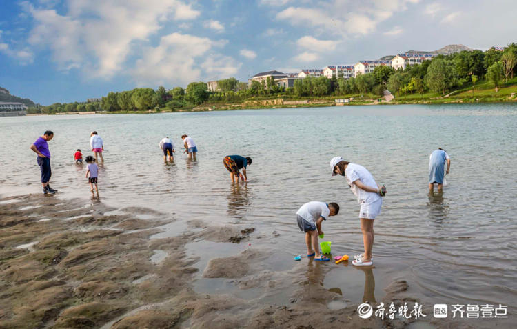 情报站|人少景美超好玩!济南孟家水库成玩水胜地,遛娃避暑走起