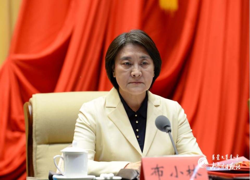 王莉霞原为内蒙古自治区党委常委,呼和浩特市委书记.