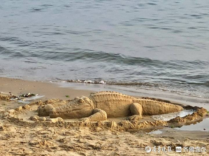 8月3日最佳情报烟台海边惊现鳄鱼咋回事恭喜壹粉获奖