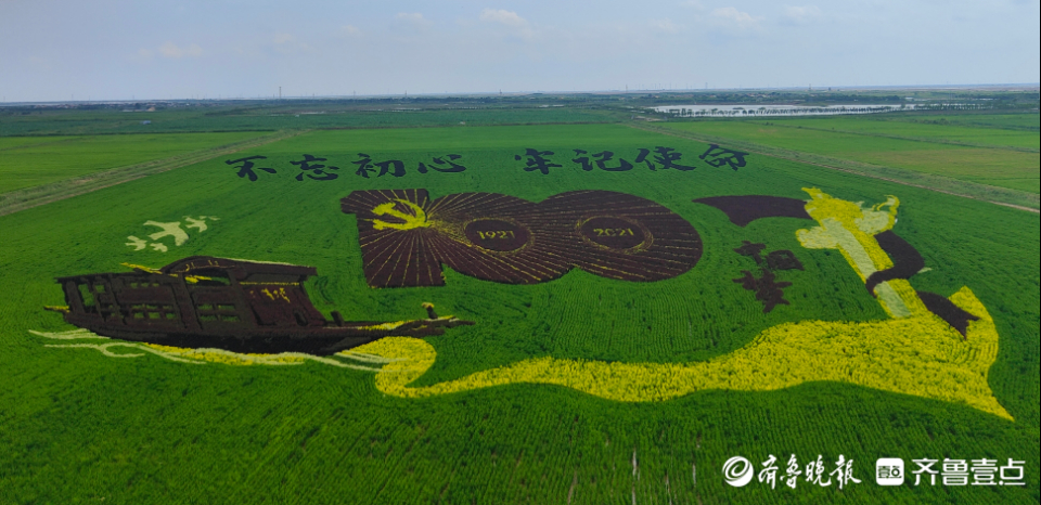 芦花新闻|田作画板秧为笔 东营垦利百亩稻田画这样绘出来