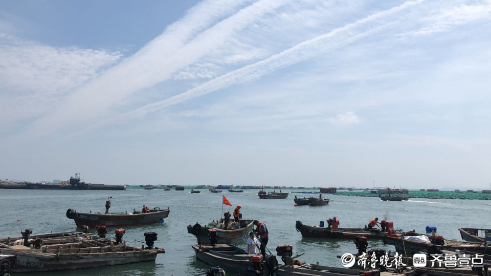 出发烟台东口码头百余艘渔船驶向大海