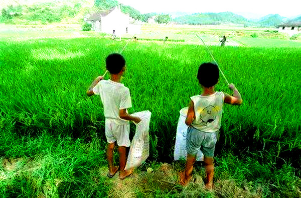 回到少年,回到赤脚奔跑在乡间小路的年代