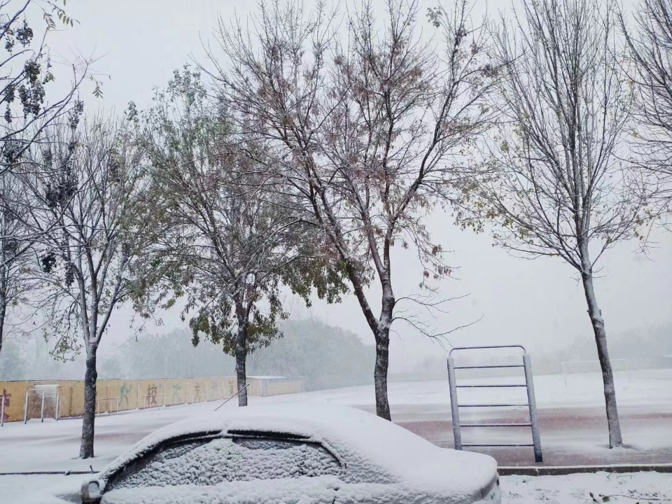 一夜入冬山东多地初雪如约而至跟着情报员来看今冬第一雪