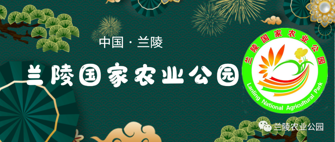 兰陵人最喜欢的现代农业公园 ——兰陵国家农业公园