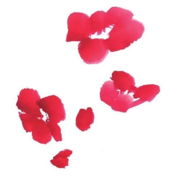 3,用之前的画法画出全部花瓣,注意花瓣的浓淡关系.