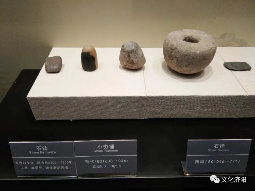 厉害济阳两处新石器时代文化遗址出土大量文物