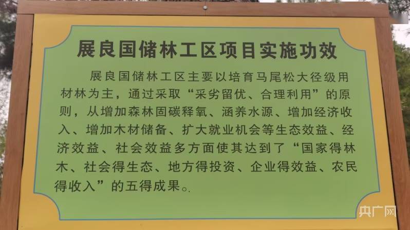 充分利用林地资源,建设优质高效的国储林,抢抓国储林项目建设机遇,因