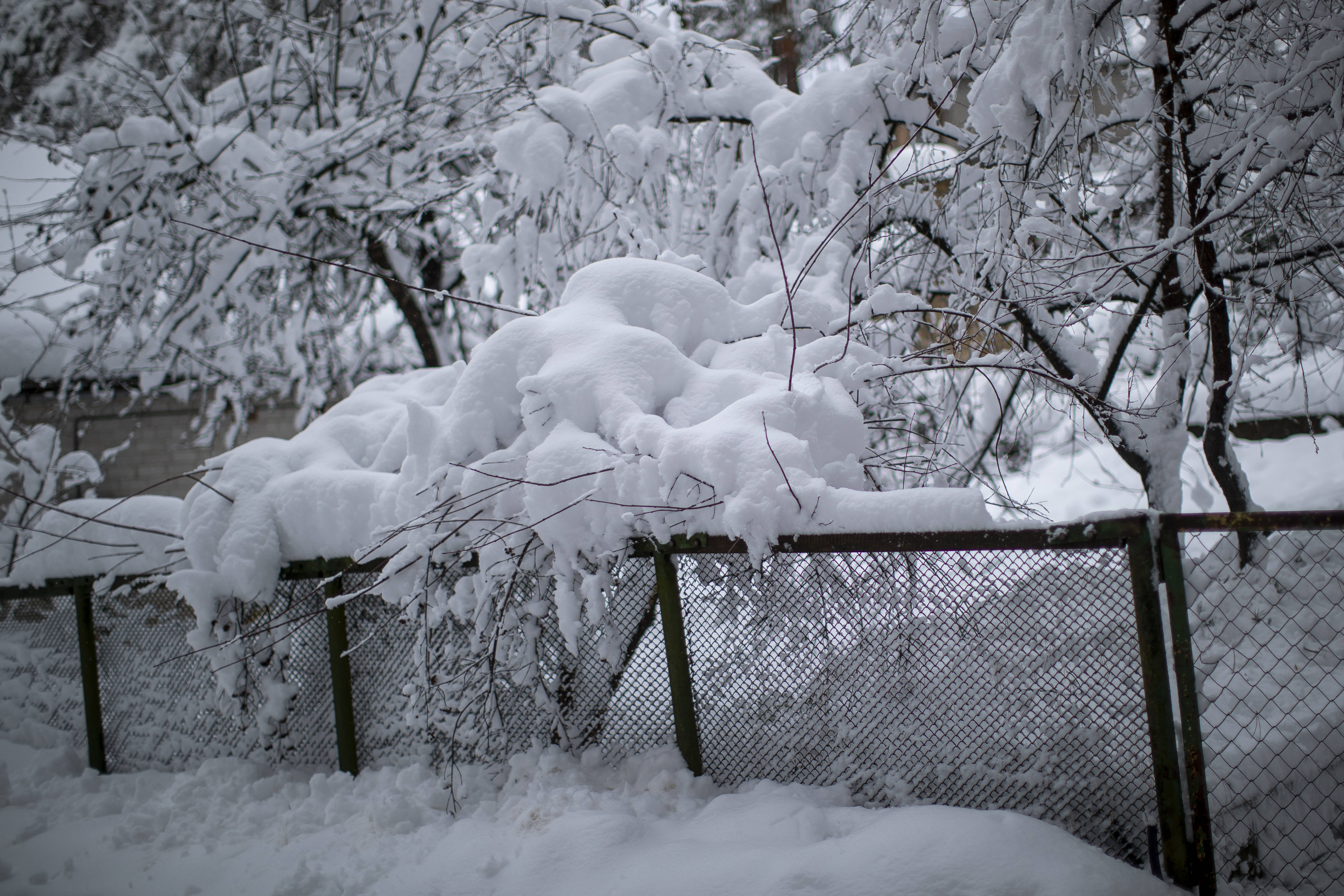 北半球的雪