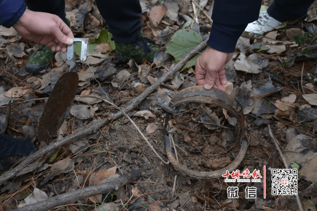2019年11月至2020年3月,郧阳区李某在本村相关地段,采用钢丝套和尼龙