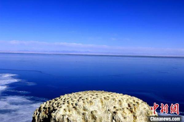 图为航拍青海湖鸟岛.(资料图) 赵海梅 摄