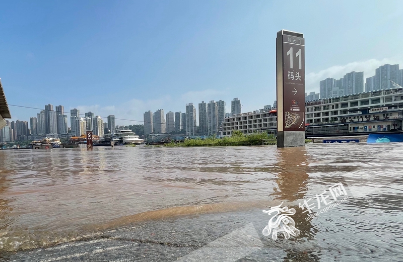 直击"长江2021年第1号洪水"嘉陵江2021年第2号洪水"过境重庆中心城区