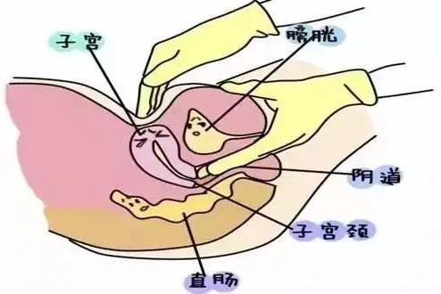 妇科常规检查包括:白带常规检查,阴道检查,抽血,b超,尿液,子宫及附件