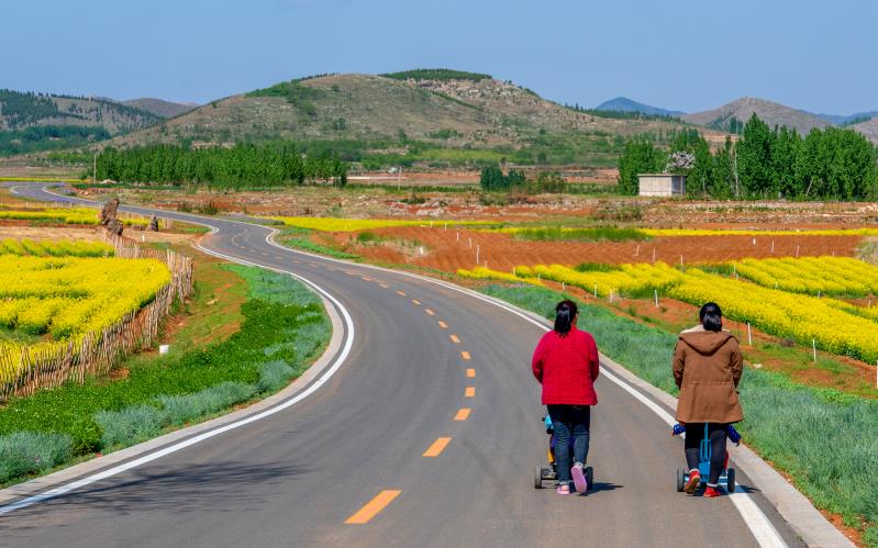 山东再次榜上有名临沂这条路入选中国十大最美农村路