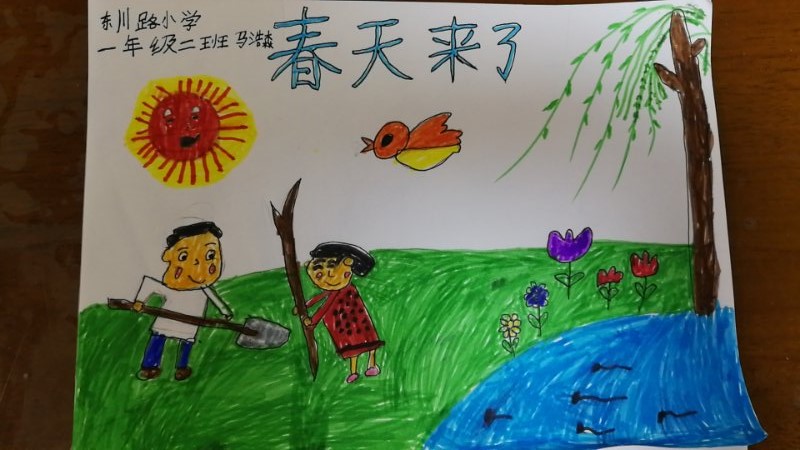 青岛东川路小学:画笔下的春天,我们来增一抹绿(一年级