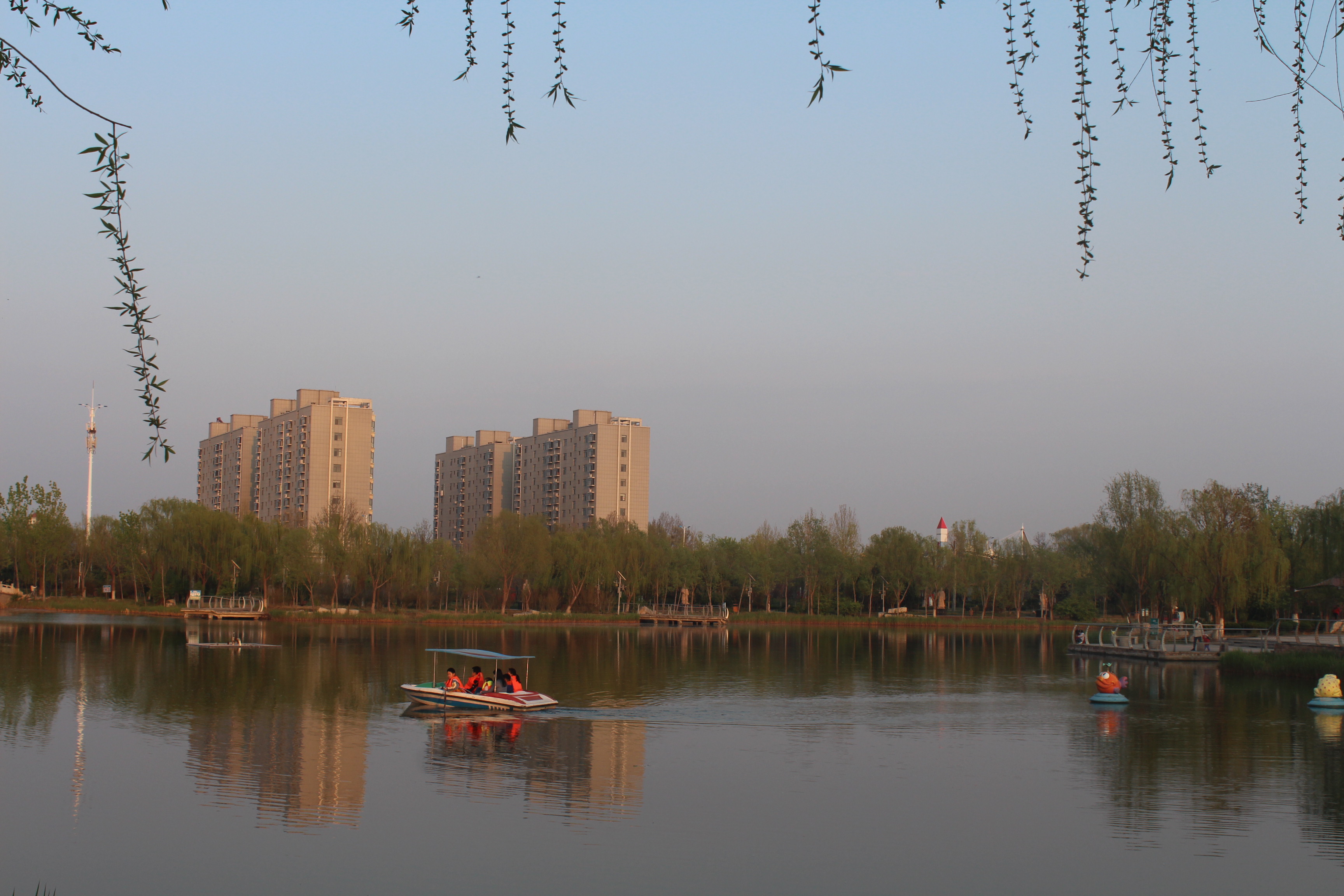 美丽的国家湿地公园——山东省聊城市茌平区天鹅湖湿地公园内游人如织