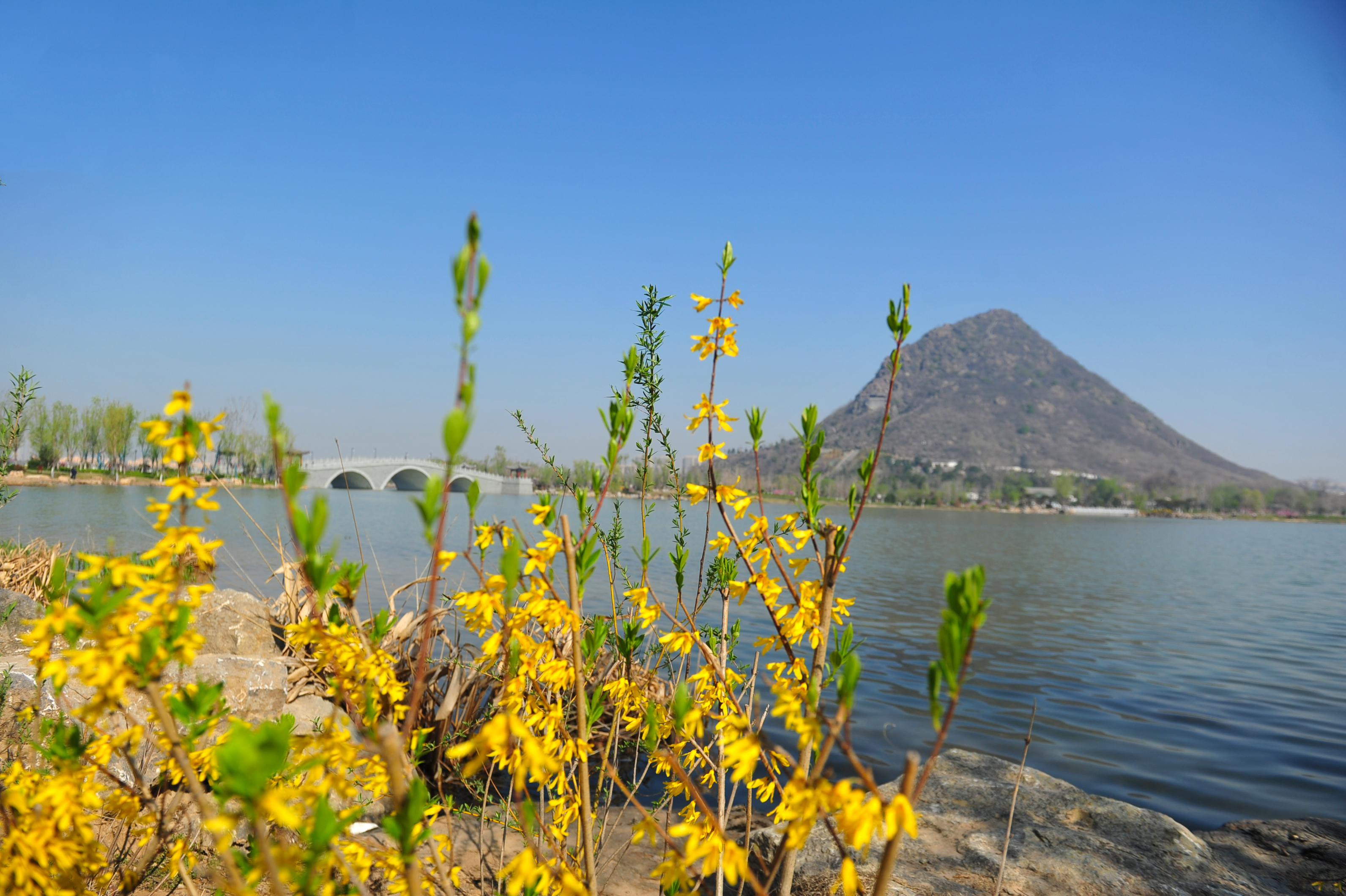 天气晴好,济南华山周边成踏青好去处