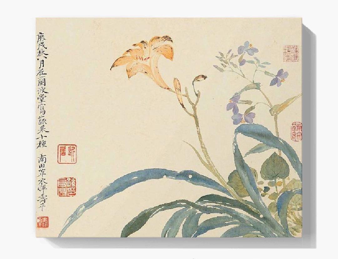 明丽简洁天趣盎然恽寿平花鸟画欣赏