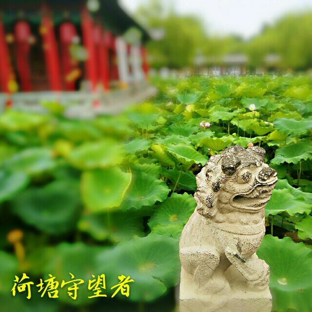 月上西楼3419