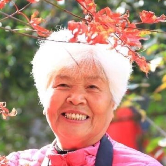 平静的心