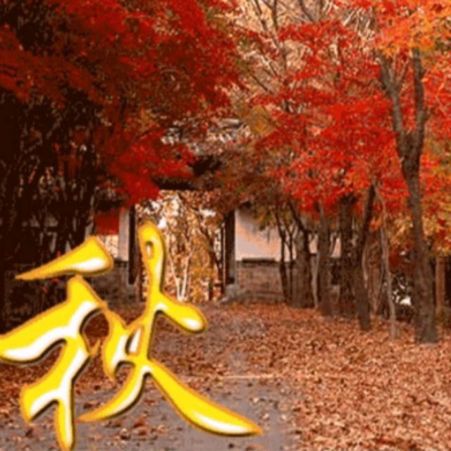 温馨3429