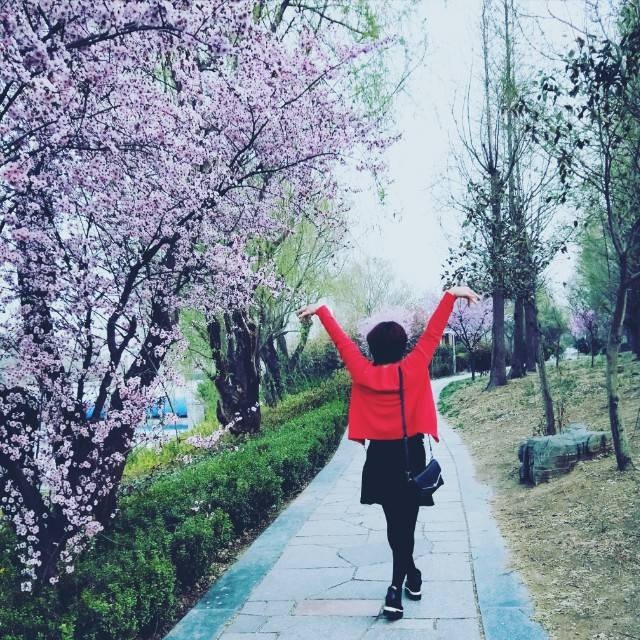 清风明月1790