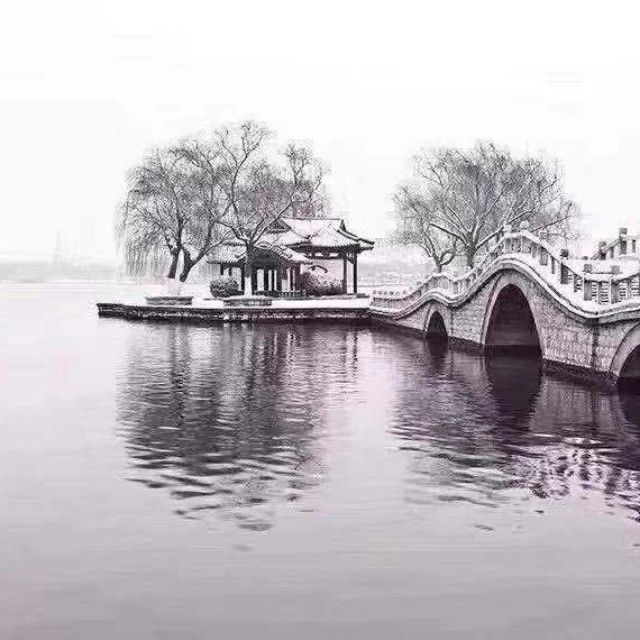 龙腾新美