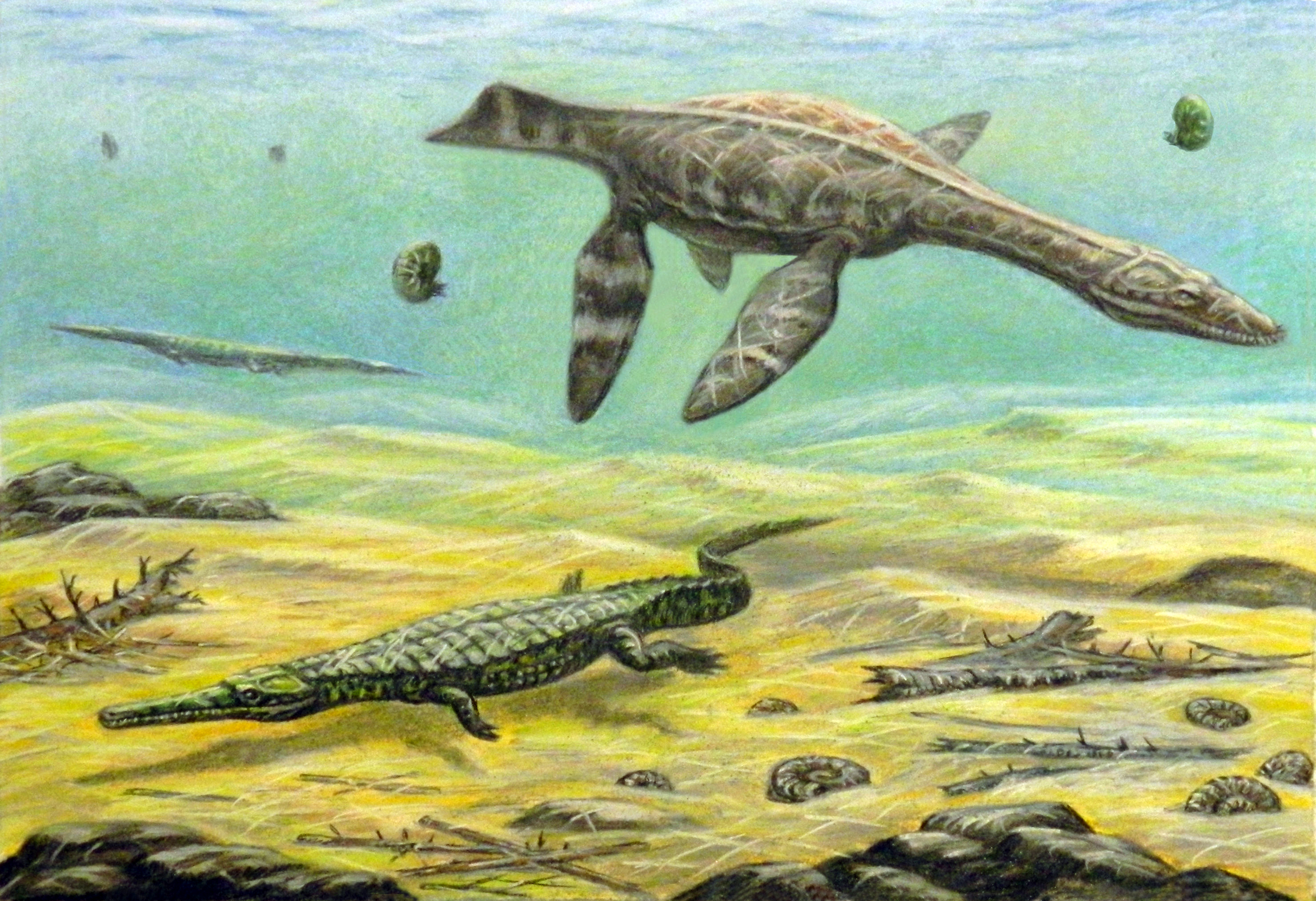 侏罗纪第一代海王竟然是短脖子的蛇颈龙