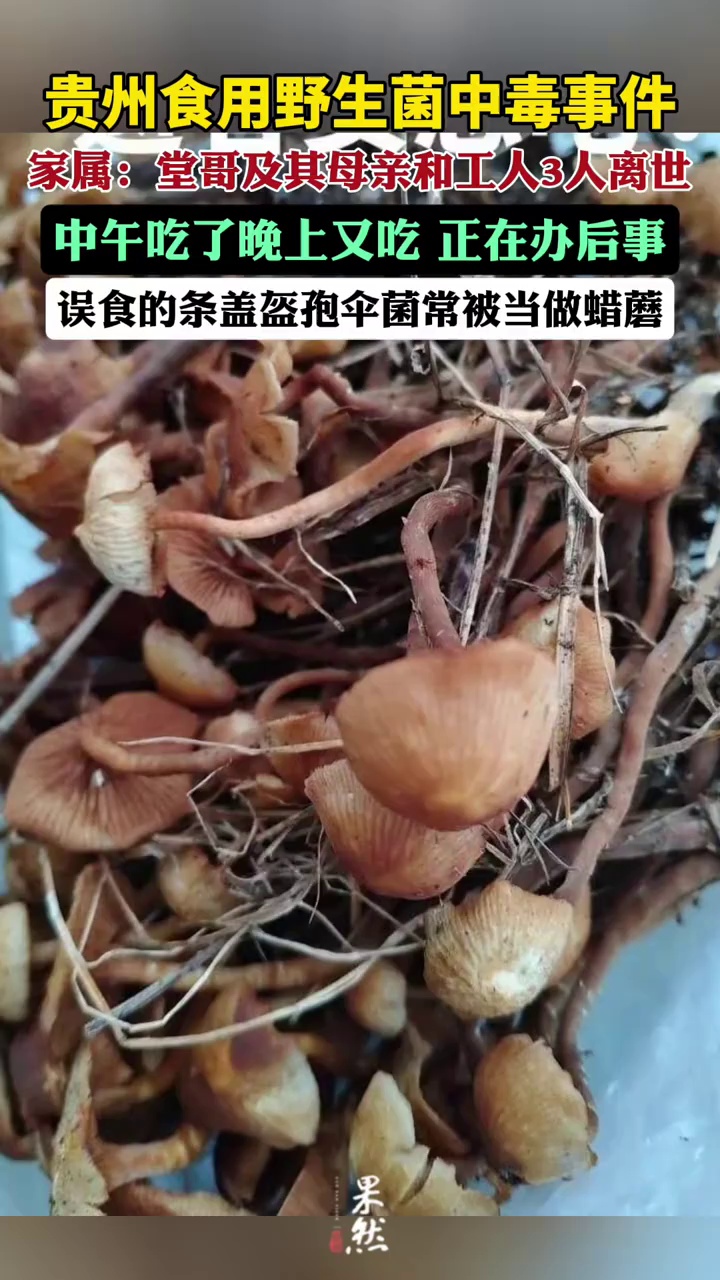 3人不幸离世，亲属：中午吃了晚上又吃，目前正在办理后事