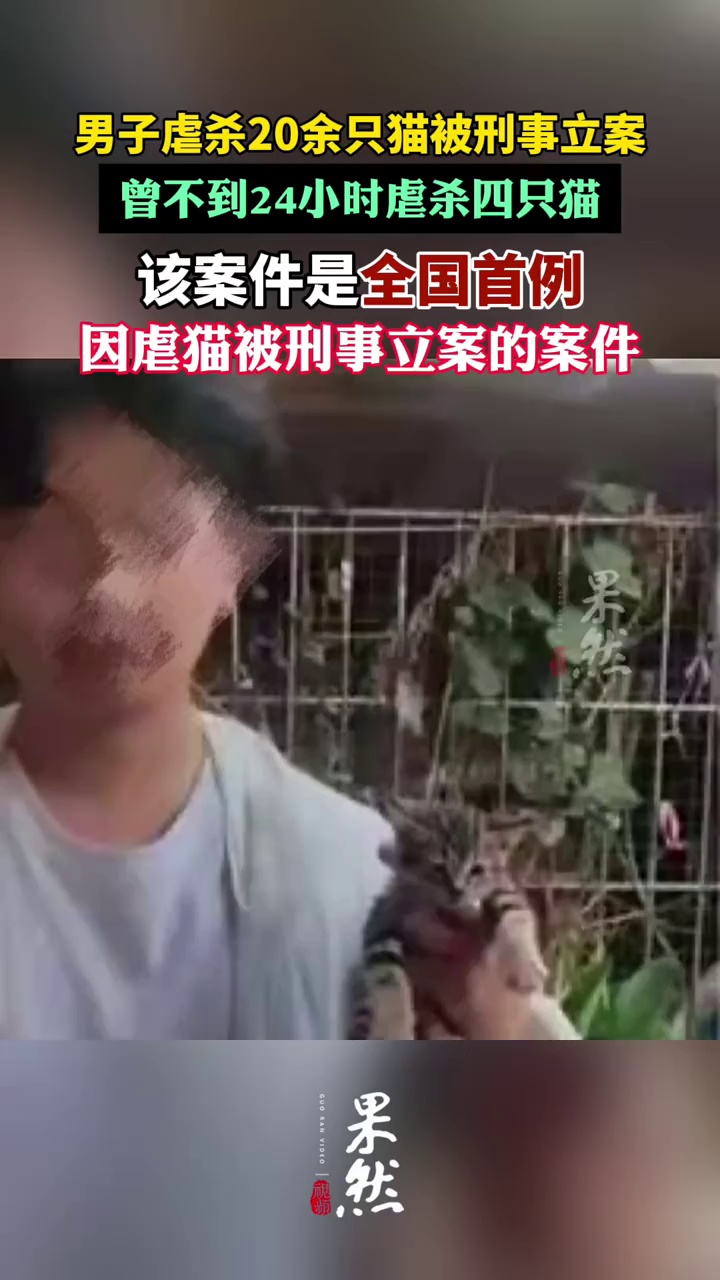 男子虐杀20余只猫被刑事立案，这也是全国首例因虐猫被刑事立案的案件。