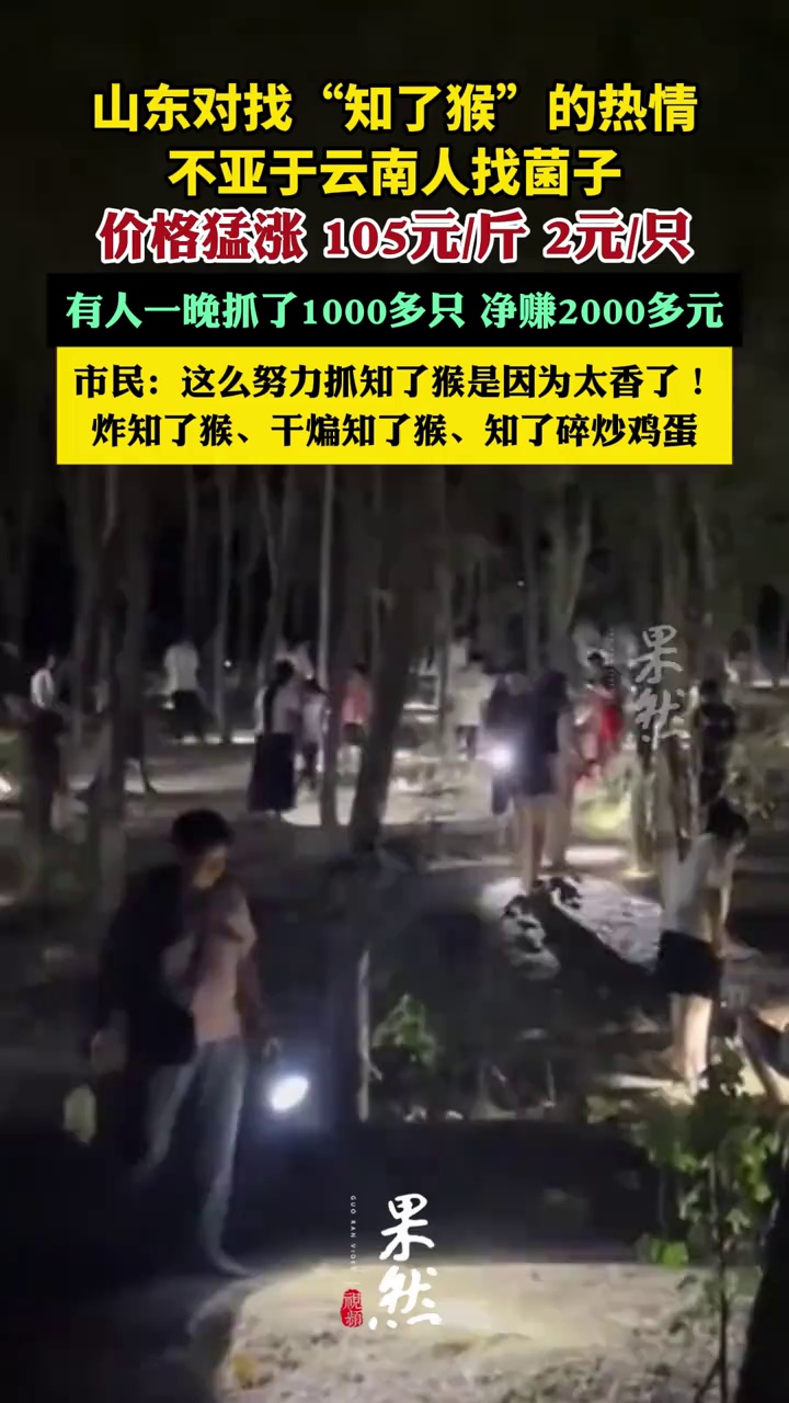 山东对找“知了猴”的热情不亚于云南人找菌子（央视网、半岛都市报）
