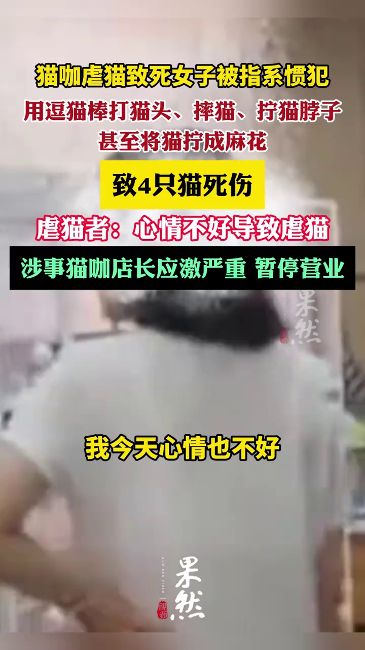 猫咖虐猫致死女子被指系惯犯（青岛广电解码新闻）